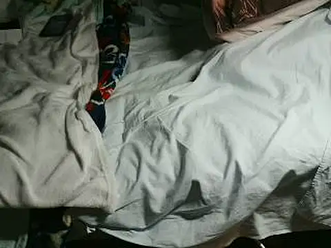 VeneRed online show from April 15, 2026, 6:26 pm