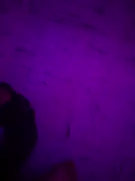 Snapshot of Argento14 chatting on November 3, 2025, 5:31 am Argento14 online show from November 3, 2025, 5:31 am