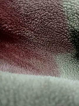 Anamika Kapoor online show from November 27, 2025, 6:26 am