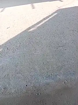 sexsexbo online show from January 15, 2026, 7:57 am