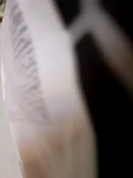 403notfound online show from September 25, 2025, 11:58 am