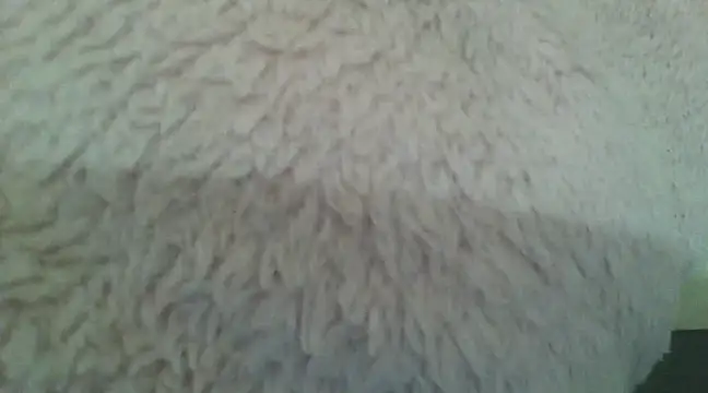 samanta0033 online show from December 2, 2024, 9:17 pm