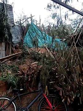 tayson  online show from February 7, 2026, 11:36 am