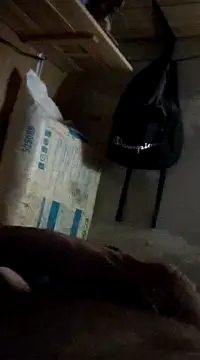 cockringkelley97 online show from December 1, 2024, 4:29 pm