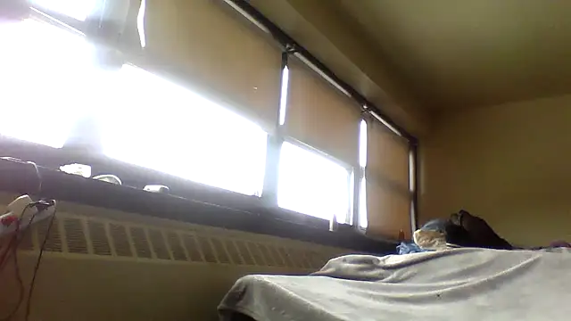 maccdaddy87 online show from February 20, 2026, 7:47 pm