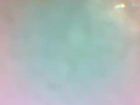 TheDoggyAss online show from April 19, 2026, 9:50 pm