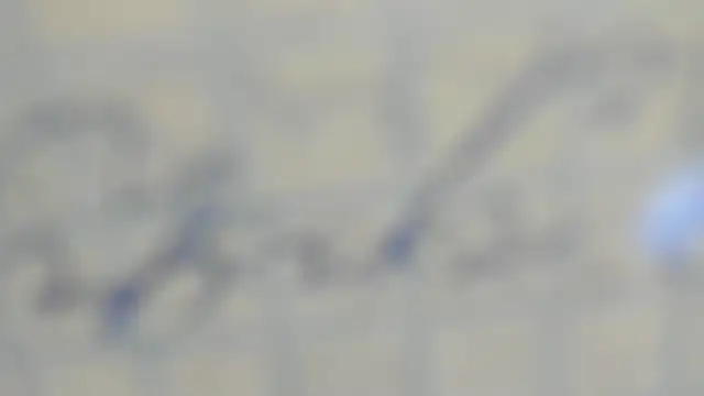 elis gabbi online show from September 9, 2025, 12:59 pm