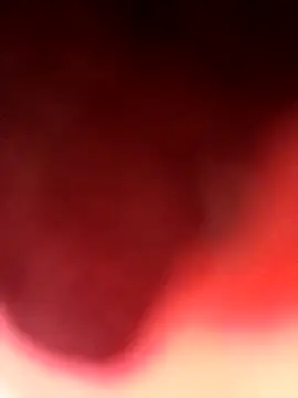 Virgin Pussy Love online show from August 4, 2026, 3:58 pm