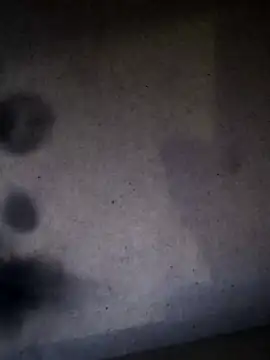 Leocesar37 online show from May 19, 2026, 4:08 am