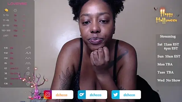 dchcco online show from November 1, 2025, 3:03 pm