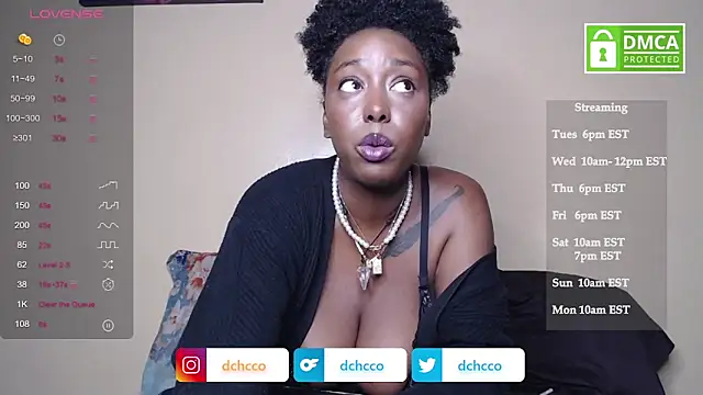 dchcco online show from November 4, 2025, 11:48 pm