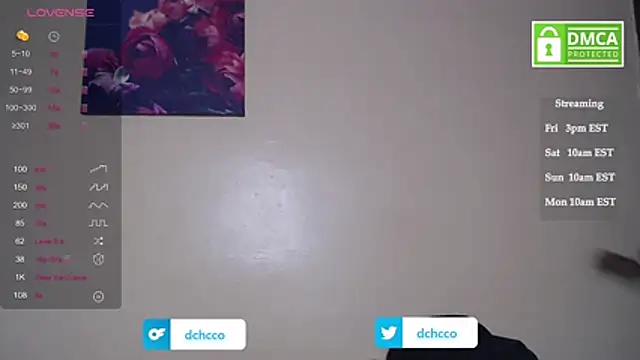 dchcco online show from November 7, 2025, 8:09 pm