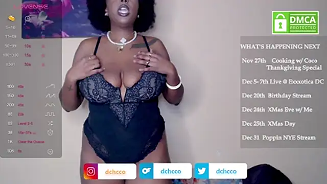 dchcco online show from November 11, 2025, 7:58 pm