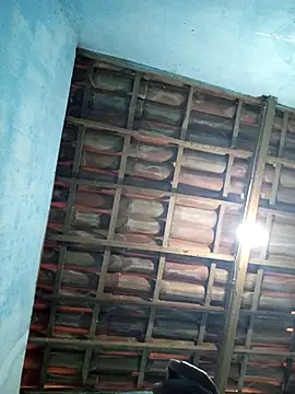 68 Toni online show from September 13, 2025, 8:47 am