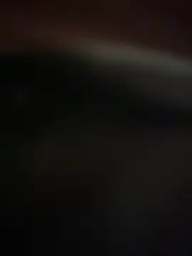 Jan berger online show from January 20, 2025, 4:45 pm