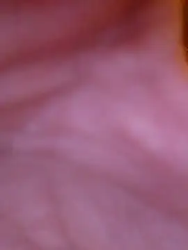 Freddyking146f online show from November 30, 2025, 1:42 am