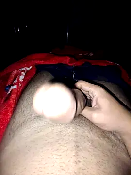 Snapshot of nidansohib1230 chatting on November 4, 2025, 4:55 am nidansohib1230 online show from November 4, 2025, 4:55 am