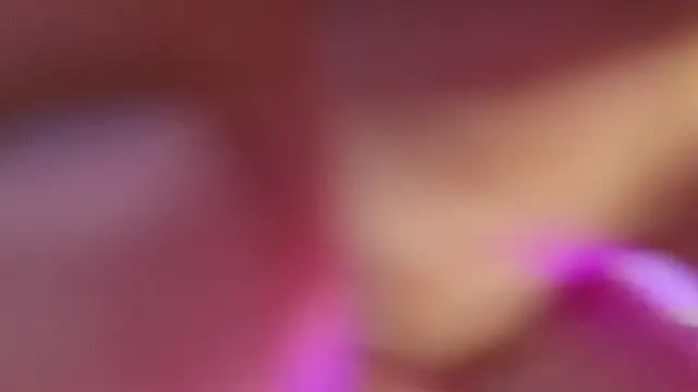 haileycat online show from September 17, 2025, 11:50 pm