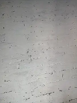 Y4NcA online show from September 28, 2025, 10:37 pm