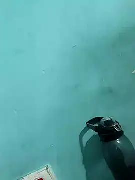 Rani devi88 online show from February 24, 2025, 9:43 am