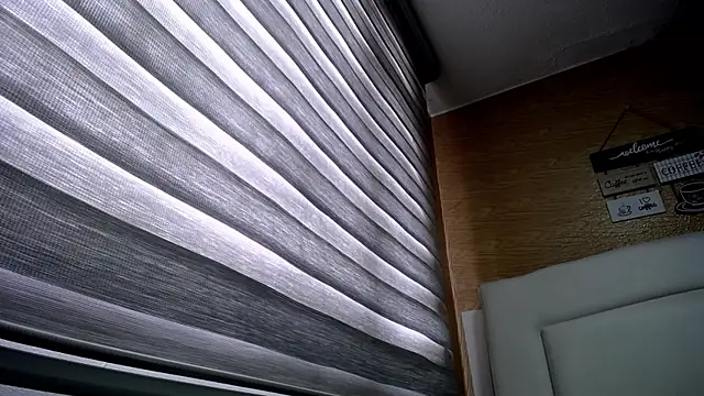 Snapshot of palmer_mIix chatting on December 2, 2024, 3:14 pm palmer mIix online show from December 2, 2024, 3:14 pm