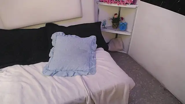 Snapshot of palmer_mIix chatting on December 27, 2024, 1:07 pm palmer mIix online show from December 27, 2024, 1:07 pm