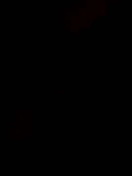 Snapshot of InnocentSupply4 chatting on November 8, 2025, 2:45 am InnocentSupply4 online show from November 8, 2025, 2:45 am