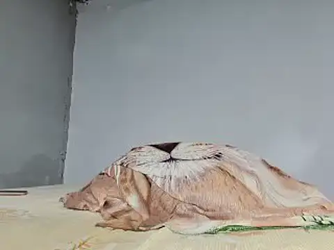 Snapshot of jeffblack2 chatting on February 1, 2025, 5:16 pm jeffblack2 online show from February 1, 2025, 5:16 pm