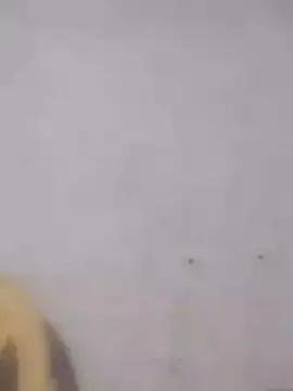 Ramya-Lovely online show from December 1, 2024, 6:52 pm