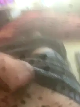 Snapshot of solomec chatting on October 12, 2025, 7:51 am solomec online show from October 12, 2025, 7:51 am