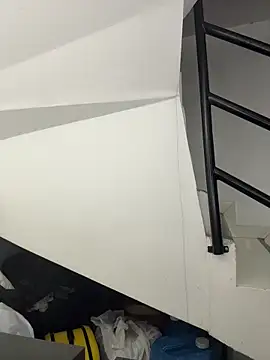 Annie9  online show from November 29, 2025, 3:53 am