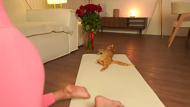 Snapshot of Peopleneedlove144 chatting on October 2, 2025, 3:08 pm Peopleneedlove144 online show from October 2, 2025, 3:08 pm