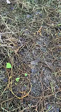 tamil000000 online show from March 16, 2025, 1:38 am