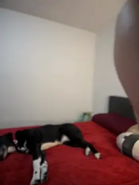 ariiel  online show from February 3, 2025, 10:43 pm