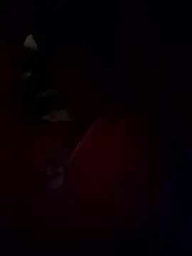 Kashish SC online show from January 18, 2026, 6:34 pm