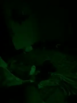 StarringSumac online show from May 30, 2026, 4:53 am