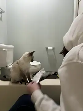 HotMessStilltheBest online show from January 21, 2025, 9:13 am