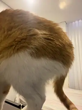 girl anni online show from October 31, 2025, 3:13 pm