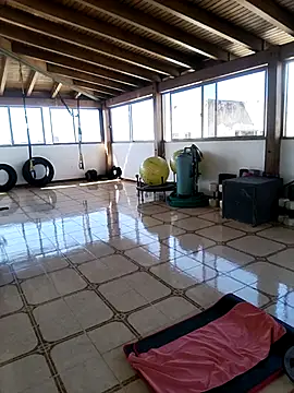 Alison fitness online show from February 12, 2026, 1:50 pm