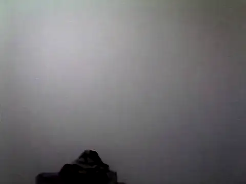 ariana crazzy online show from October 12, 2025, 8:57 am