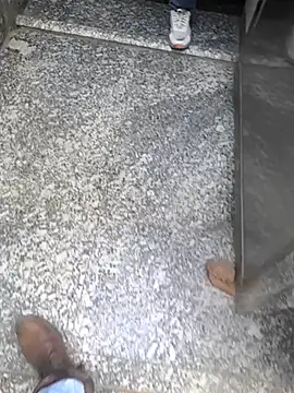 Snapshot of faaseel chatting on February 17, 2025, 8:19 am faaseel online show from February 17, 2025, 8:19 am