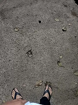 Snapshot of faaseel chatting on February 23, 2025, 6:56 pm faaseel online show from February 23, 2025, 6:56 pm