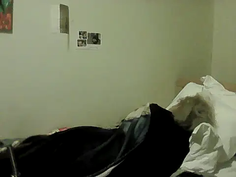 housewife shantie online show from February 8, 2026, 8:56 pm