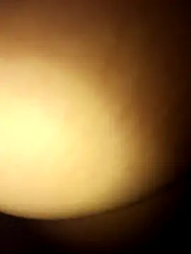 lemon69Reo online show from July 14, 2026, 4:50 am