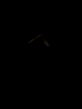 Snapshot of DaWoD030 chatting on January 19, 2025, 5:18 pm DaWoD030 online show from January 19, 2025, 5:18 pm