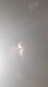 bandi-big-dick online show from January 7, 2025, 1:57 pm