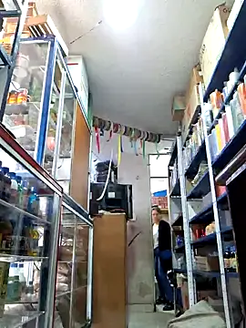 nidia2026 online show from January 28, 2025, 3:57 pm