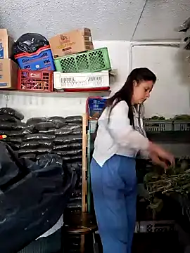 nidia2026 online show from February 3, 2025, 6:17 pm