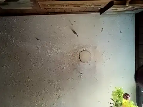 realoneNocap online show from November 12, 2025, 5:57 pm