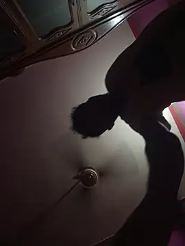 Mastar212 online show from November 23, 2025, 8:14 am